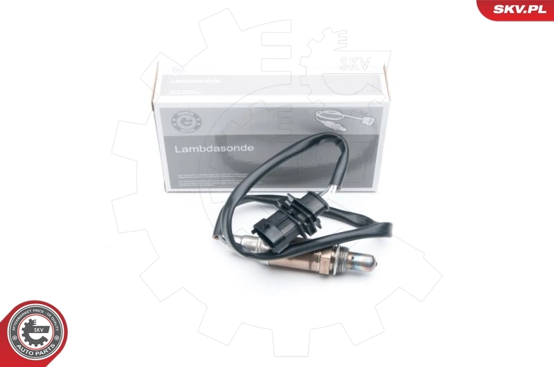 Oxygen Sensor